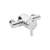 Bristan Gummers Opac Exposed Mini Shower Valve With Lever Chrome -Bathroom Shower Shop bristan mini2ts1203elc