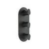 Cifial Black 3 Control Thermostatic Valve, Vertical, 2 Outlets -Bathroom Shower Shop cifial 600v32vv 614