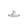 Grohe Euphoria Cosmopolitan 160 Head Shower 1 Spray 28233 -Bathroom Shower Shop grohe 28233000
