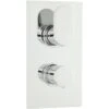 Hudson Reed Reign Twin Valve With Diverter -Bathroom Shower Shop hudson reed rei3607
