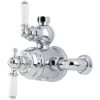 Perrin & Rowe Exposed Thermostatic Shower With Levers Pewter -Bathroom Shower Shop perrin rowe 5550pf