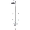 Perrin & Rowe Contemporary Shower Set D One Pewter -Bathroom Shower Shop perrin rowe cssd1pf