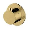 RAK Petit Round 2 Outlet Concealed Diverter Brushed Gold -Bathroom Shower Shop rak rakper3020 2g