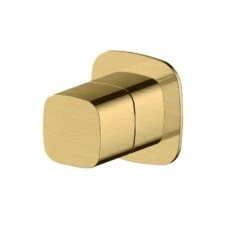 RAK Petit Square 2 Outlet Concealed Diverter Brushed Gold
